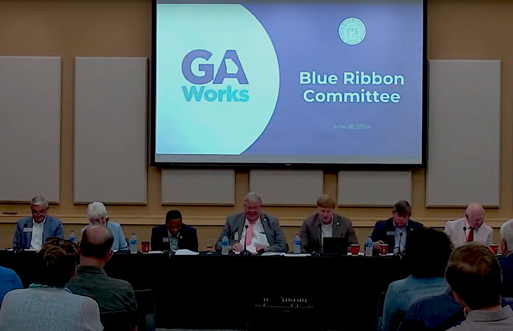 The Blue Ribbon Committee of Georgia Works met to discuss making it easier to obtain certain licenses in the state.
