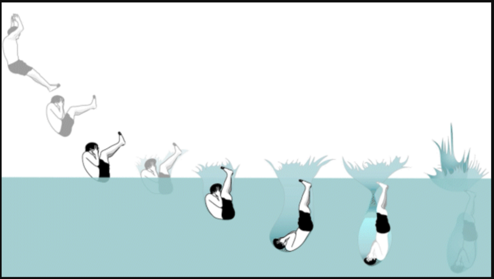 a diagram showing the eight phases of a manu jump