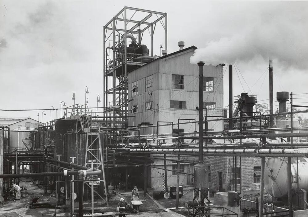 The Hercules Brunswick facility, circa 1960. The plant extracted rosin, turpentine, and pine oil from pine tree stumps to produce a range of chemicals used in the manufacture of varnishes, paints, adhesives, insecticides, textiles, and other industrial products. All photos by Gil Tharp / Courtesy of the Science History Institute (archive/herculesbrunswick.com) 