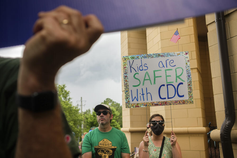 Vaccine skepticism and changes to official advice on childhood vaccinations were criticized the protest. 