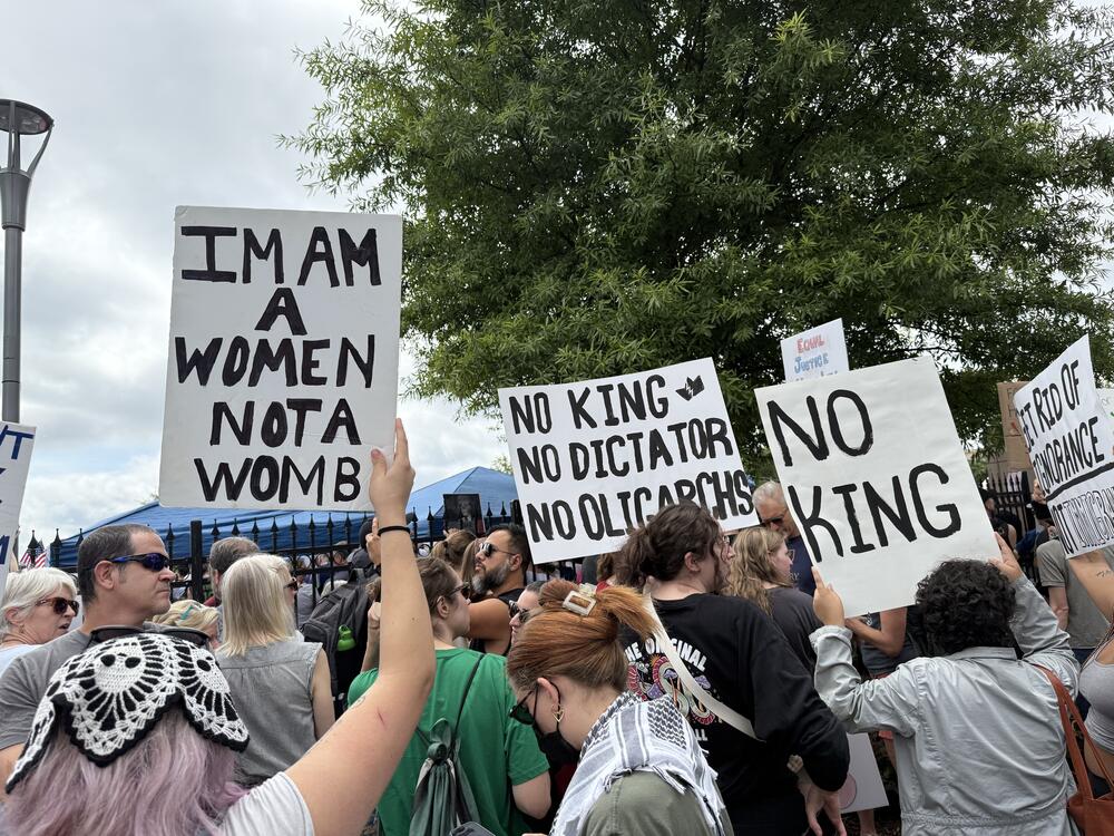 Signs at the No Kings Protest event in Atlanta, Ga. on June 14, 2025. Abisola Dahunsi/GPB News