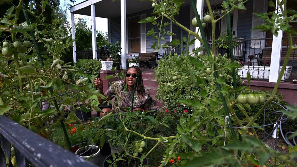 Andrea Moses, 36, sits in her front yard garden on Wednesday, July 2, 2025, on Ward Street in the Pleasant Hill neighborhood of Macon-Bibb County, Ga. Moses grows a variety of herbs and vegetables to eat including eggplants, tomatoes, bell peppers, habaneros, squash and basil. Jesse Fraga/The Telegraph