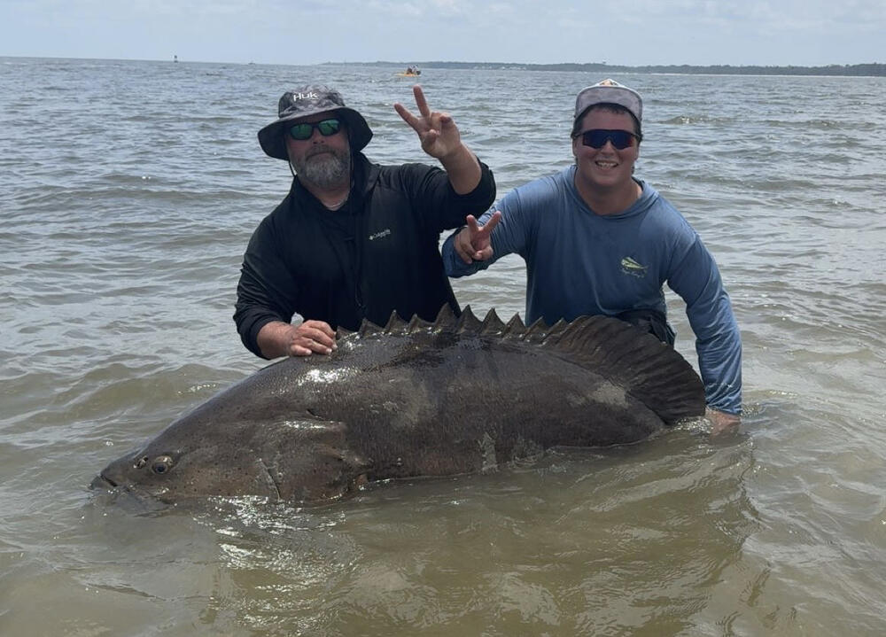 Seth Silverstein and Robert Turybury pose next to a goliath grouper that Turybury caught along the beach of St. Simons Island on June 7.
