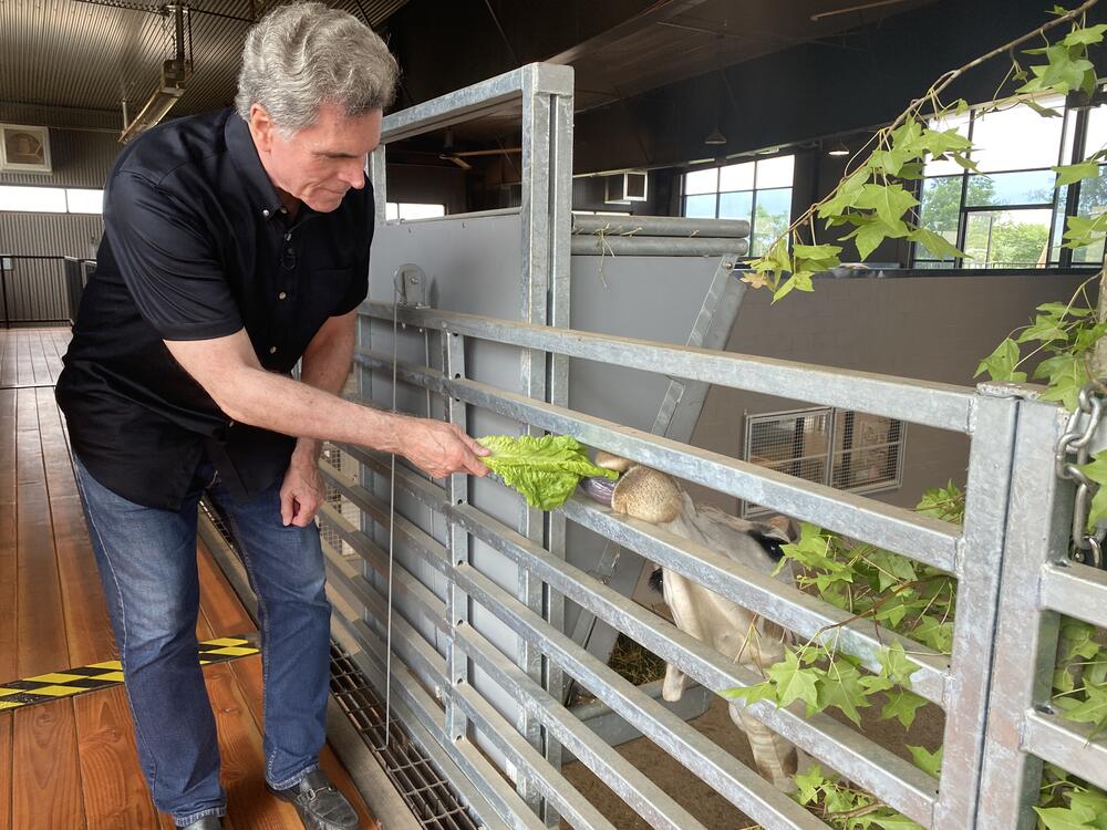 Jeff Hullinger feeds an animal at the Georgia Conservation Safari Park