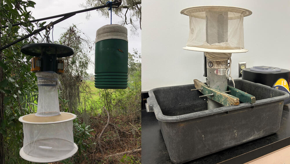 On the left, a mosquito trap involving a fan, a lightbulb and CO2, which attracts the insects. On the right, a trap that lures adult southern house mosquitos to lay eggs in a water basin, while a fan attachment at the top sucks them up to trap them for analysis.