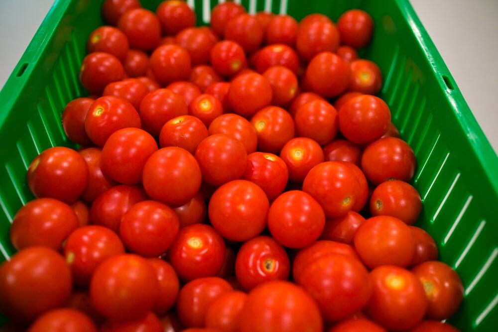 Cherry tomatoes in a green bin.