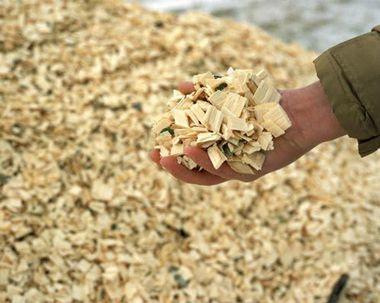 Georgia has become a national leader in the production of Biomass material for energy production