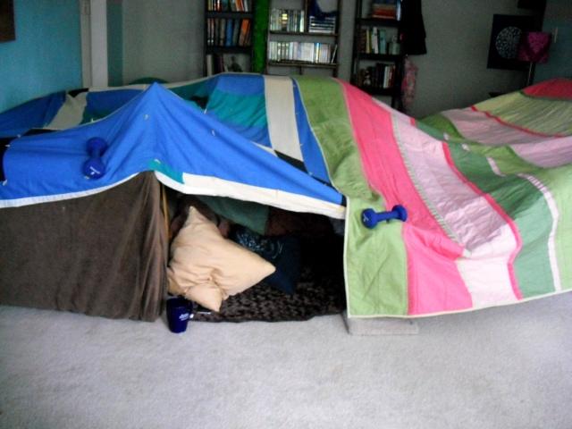 Blanket Fort for Kids, Fits Fort Building Kit, Kids Fort, Pink