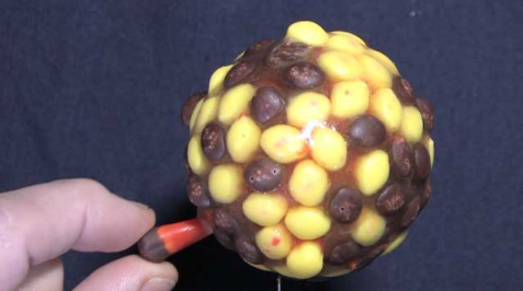 NASA Astronaut Don Pettit used Candy Corn to conduct experiements in space. (Photo: Don Pettit, ScienceFriday.com)