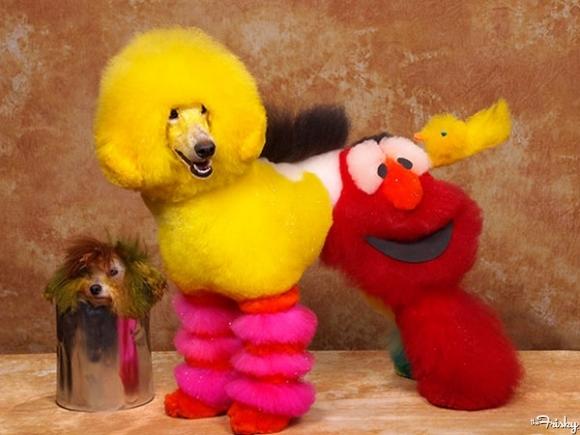 Kobe is transformed into a Sesame Street themed dog, part Big Bird, part Elmo. (Image from thefrisky.com.)