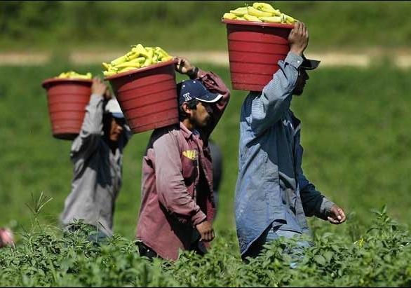 Farm Wages are Increasing Across the U.S. Farm Wages are Increasing Across the U.S.