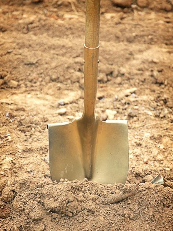 The Golden Shovel Award Goes to Those States Excelling in Economic Development