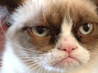 Grumpy Cat (real name Tardar Sauce) is attracting lines of picture takers at SXSW.