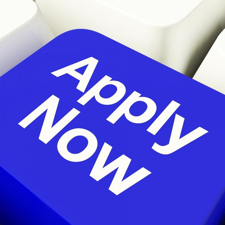 Where to Look Online is Critical to Job Search Success