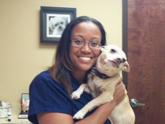 Dr. Johnson nuzzles Petey, her beloved chihuahua rescue and office greeter!