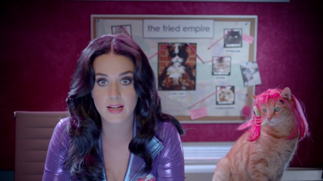 Katy Perry and one of the Popcats are part of the Top 10 video CATdown for Adopt a cat month.