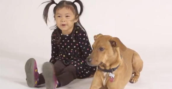 Molly and Joey are spokeschild and dog against puppy mills and pet stores that sell pups.