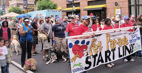 Owners and their pets walk to raise money for animal shelters. Photo via Atlanta Humane Society
