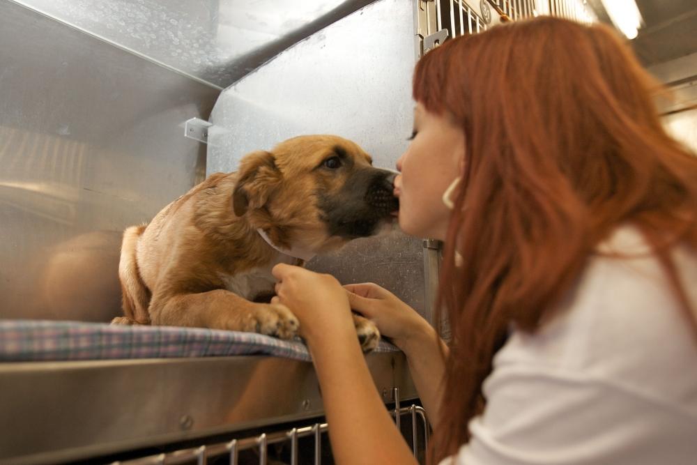 PetSmart has over 600 job openings in Georgia.