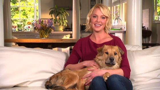 Actress Katherine Heigl hosts "Shelter Me."