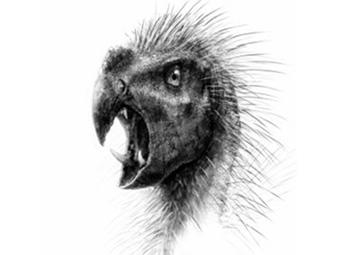 Illustration by Todd Marshall