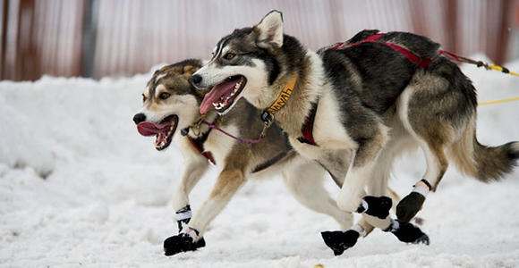 Image from outsideonline.com