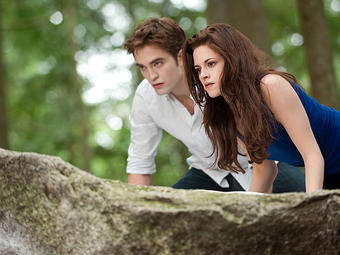 writing an informative essay about the special term about twilight