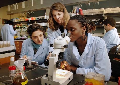 Less than 1 in 4 STEM jobs are held by women