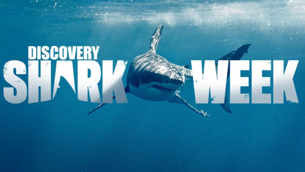 Shark Week Logo Png