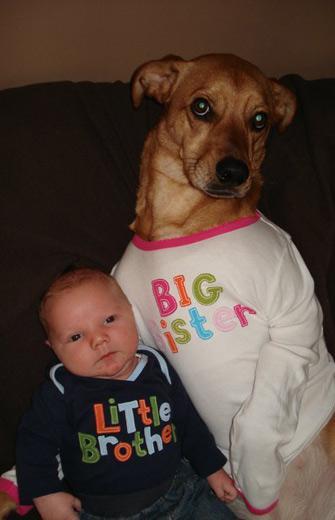 baby-dog-dogsofinterwebs.jpg