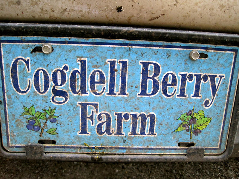 berrytag.jpg