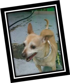 bijou-photos.jpg