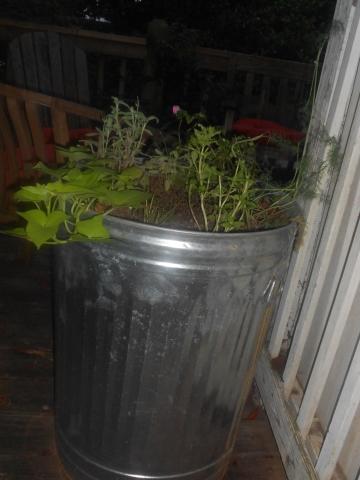 nancys_pics_005.jpg