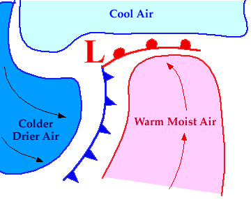 frontal_model.gif