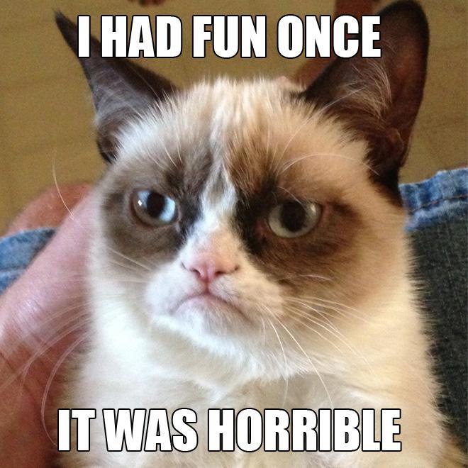 Grumpy Cat is Star at SXSW No Wonder! grumpy-cat-i-had-fun.jpeg