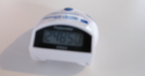 pedometer.png
