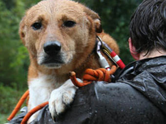 rescue-sandy_0.jpg