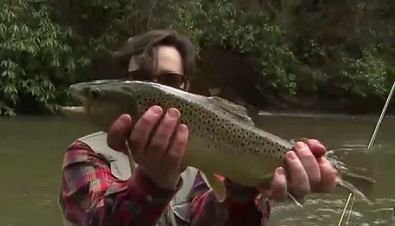resized_david__brown_trout.png
