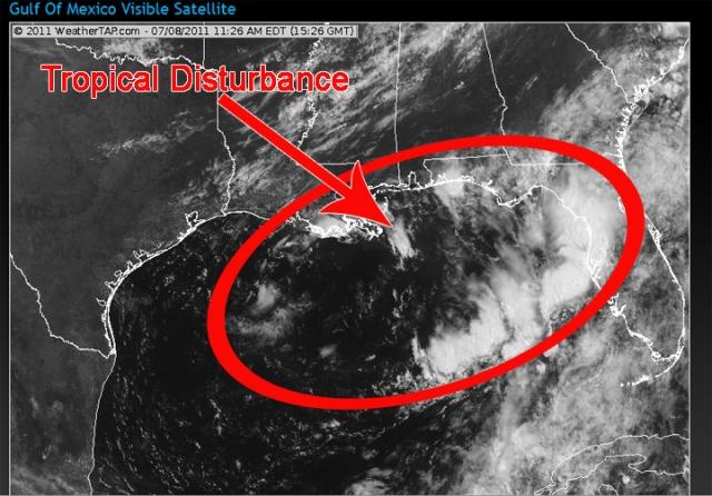 tropical_disturbance.jpg