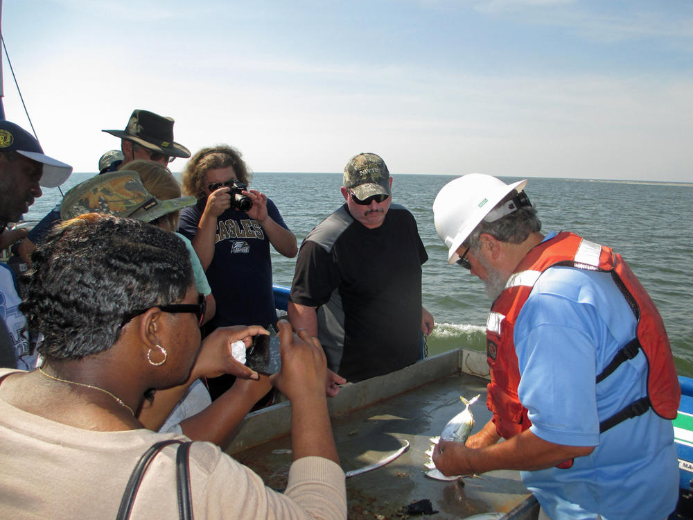 skidaway_teacher_cruise_1a_0.jpg