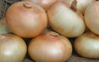 vidalia onion onions harvest down georgia crab yumm bisque coastal cottage recipe heavy rains crops impact spring there year gpb