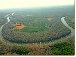 Chattahoochee River