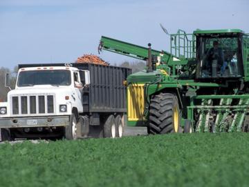 Farming