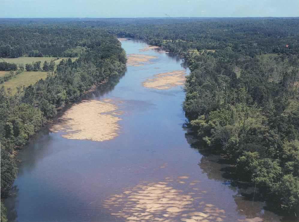 Study: Plenty Of Water In Savannah River