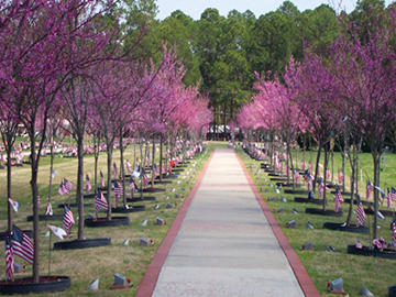 Warrior's Walk 