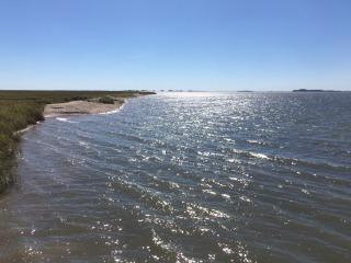 Coastal Georgia could open up to oil drilling under Obama's proposal. Coastal Georgia could open up to oil drilling under Obama's proposal.