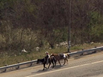 Man on horse on freeway