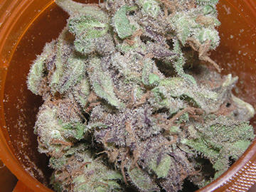 Medical marijuana