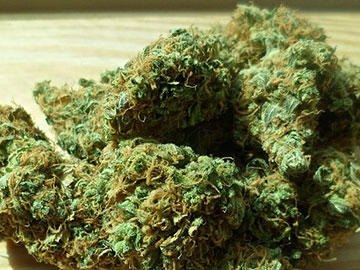 Medical cannabis