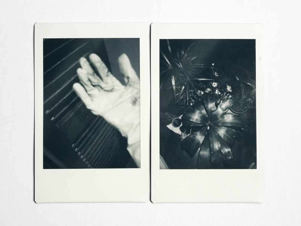 (Left) During the coronavirus pandemic, cleaning has become more intense and important. Gloves used for cleaning photographer Celeste Alonso's house in Buenos Aires, Argentina. (Right) Plants on Alonso's balcony.